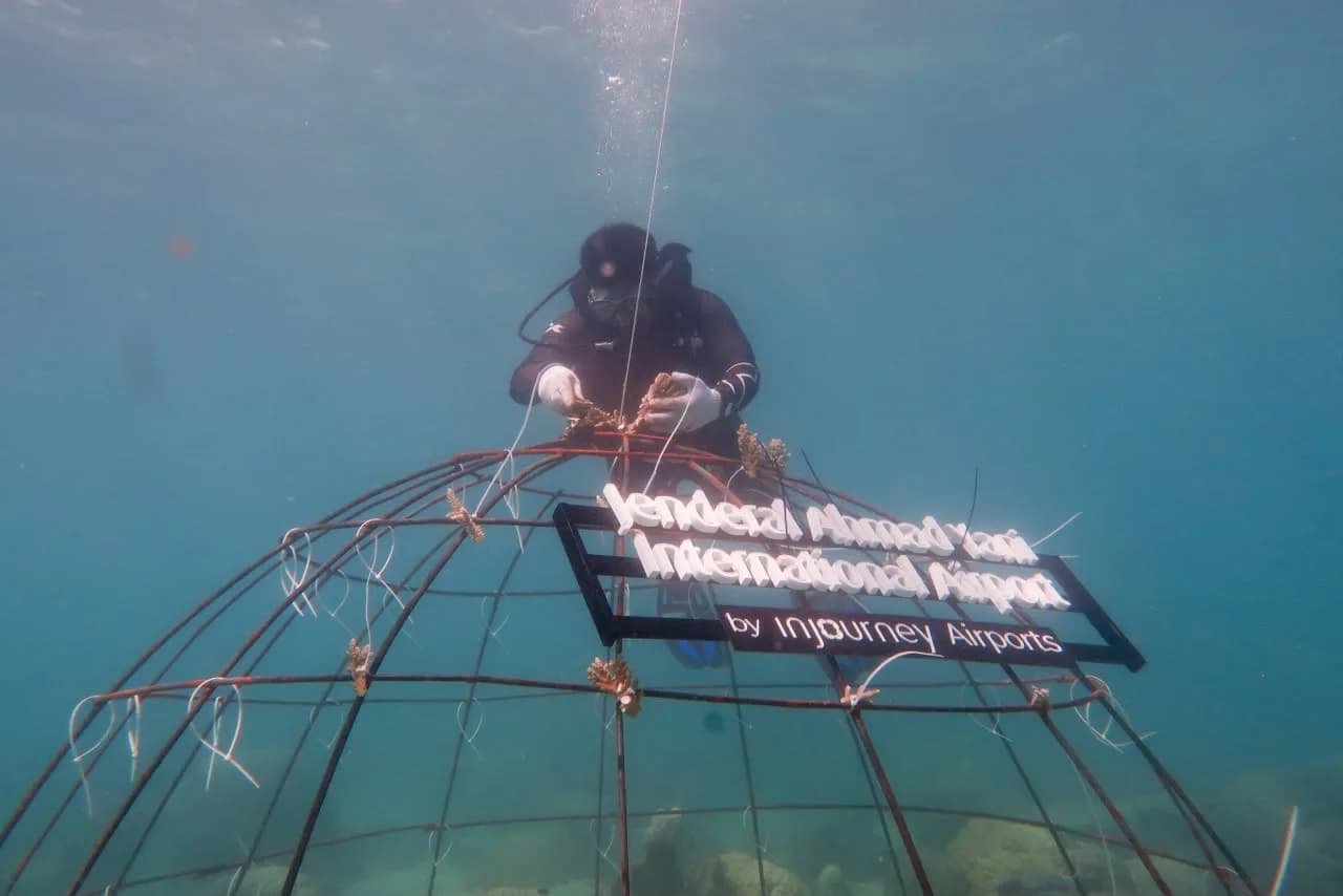 Dukung Ekosistem Laut, 1.300 Fragmen Karang Ditransplantasi di Karimunjawa