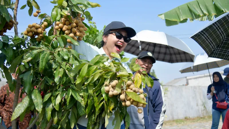 Wali Kota Agustina Resmikan Agro Eduwisata Masjid Agung Semarang