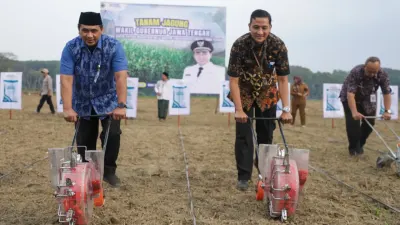 Kolaborasi SGN dan Indonesia Power Ubah Lahan Tidur Jadi Pertanian Terpadu